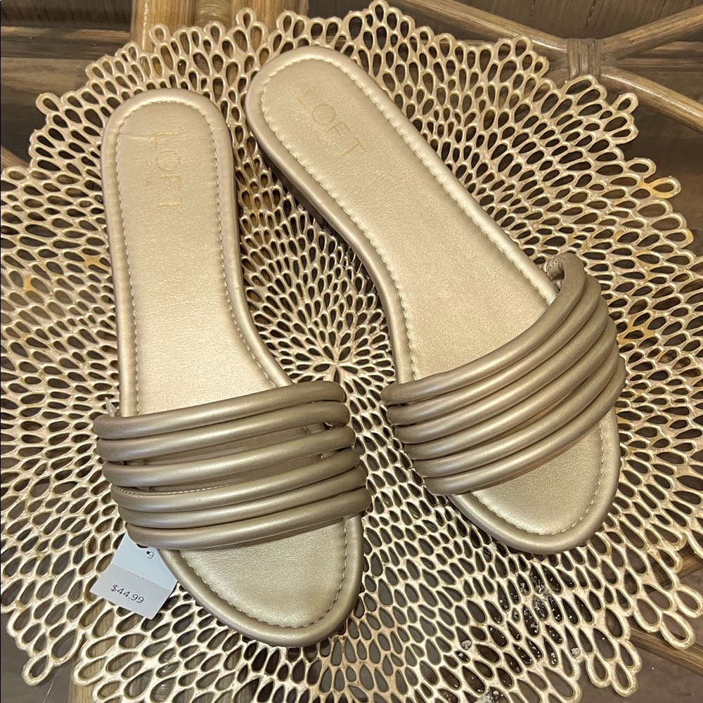 Last chance- donation bin next
LOFT Metallic Gold Slide Sandals
Make offer!